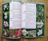 Katalog róż polecanych przez Związek Szkółkarzy Polskich